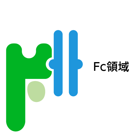 IgG1-Fcフラグメントについての図