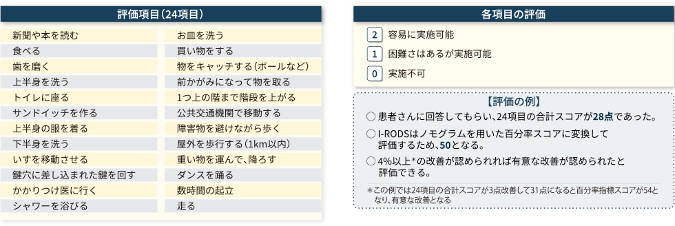 I-RODSの評価項目についての表