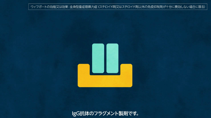 エフガルチギモド（抗FcRn抗体フラグメント製剤）
