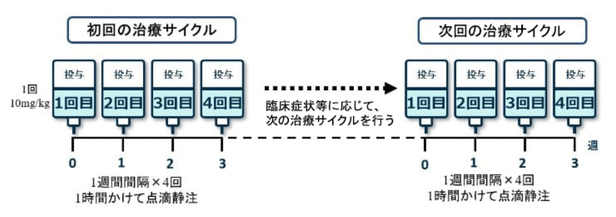 治療サイクルの図